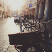 Lacus Eget Arcu Dignissim